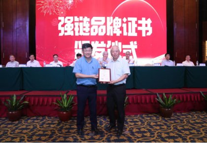 登榜!海德威入選首批船舶工業“強鏈品牌”